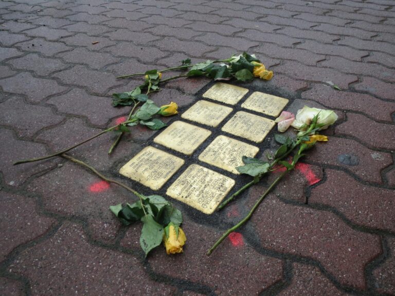 https://pixabay.com/de/photos/stolpersteine-hockenheim-denkmal-848846/